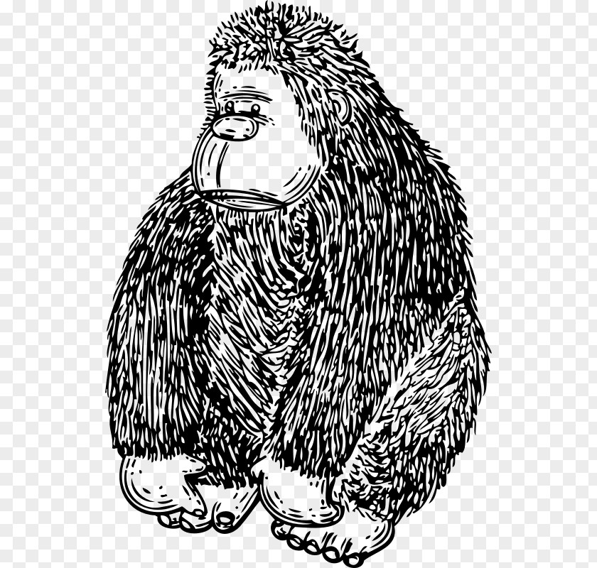 Gorilla Download Clip Art PNG