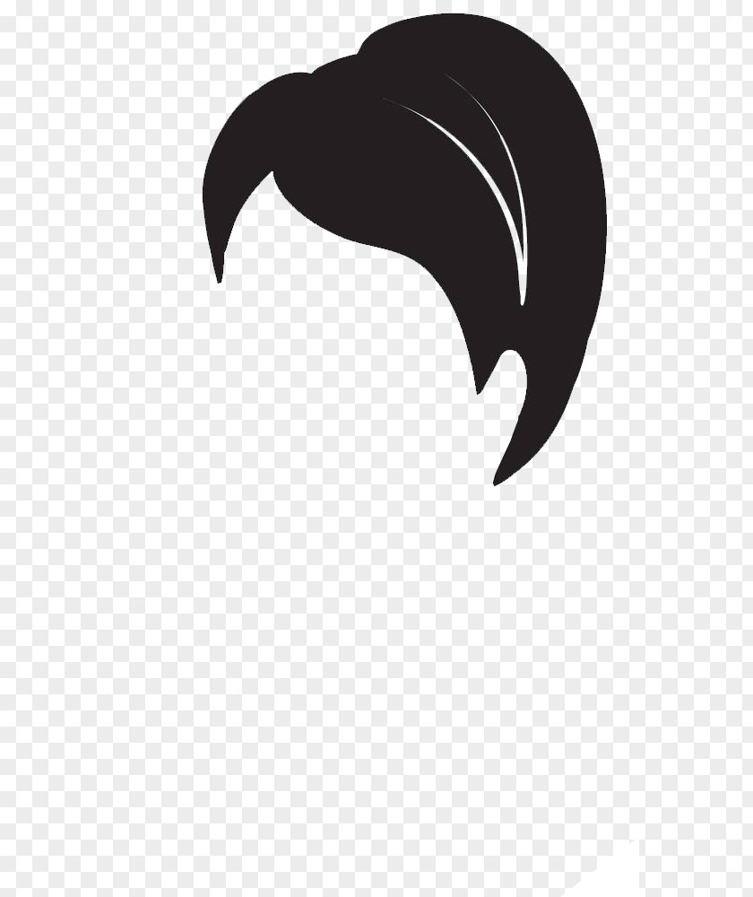 Illustration Lady Hairstyle PNG
