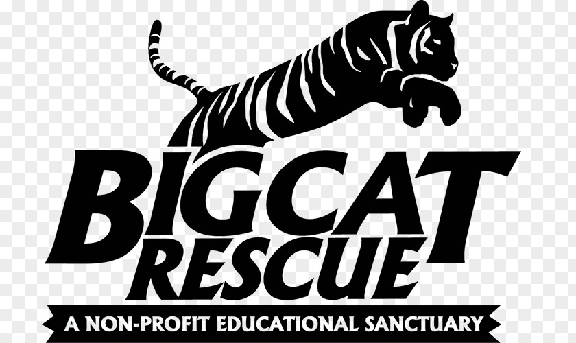 Tiger Big Cat Rescue Cougar Logo PNG