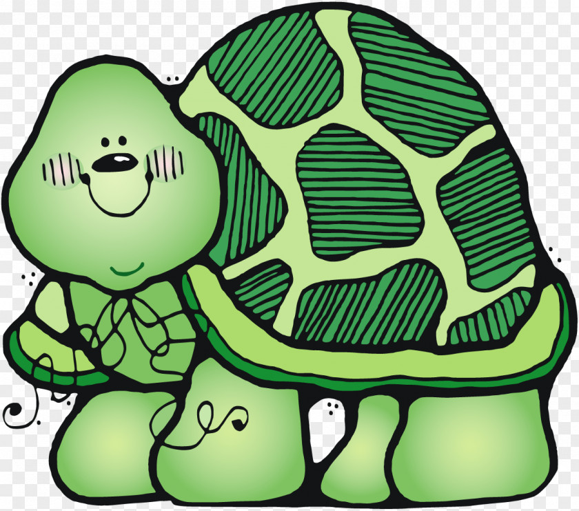 Turtle Tortoise Non-fiction I'll Follow The Moon Kindergarten PNG