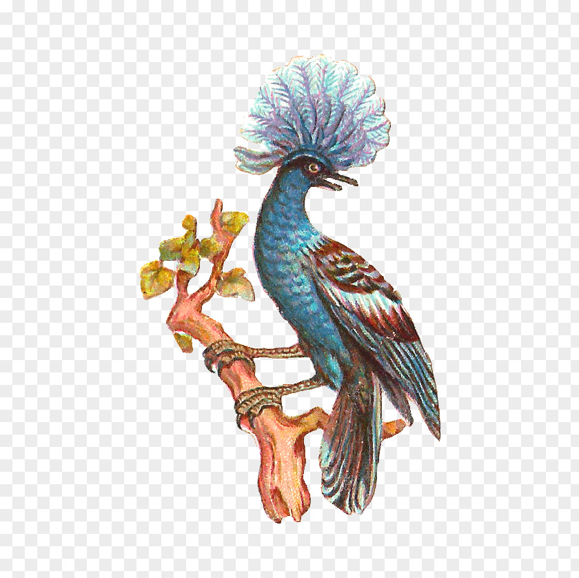 Bird Graphic Clip Art PNG