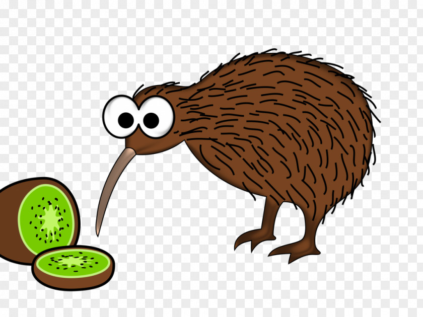 Bird The New Zealand Kiwi Clip Art Vector Graphics PNG