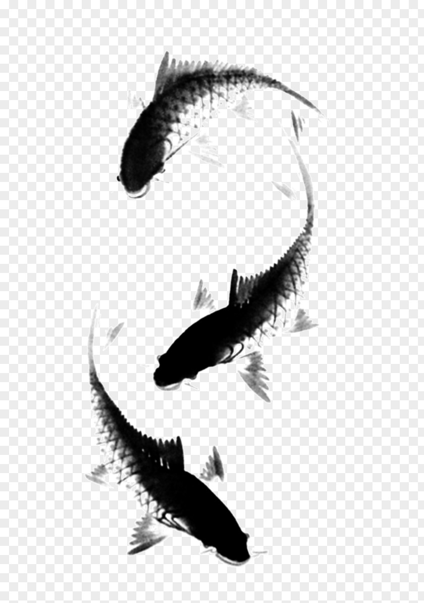 Fish China Carp Ink Wash Painting Brush PNG