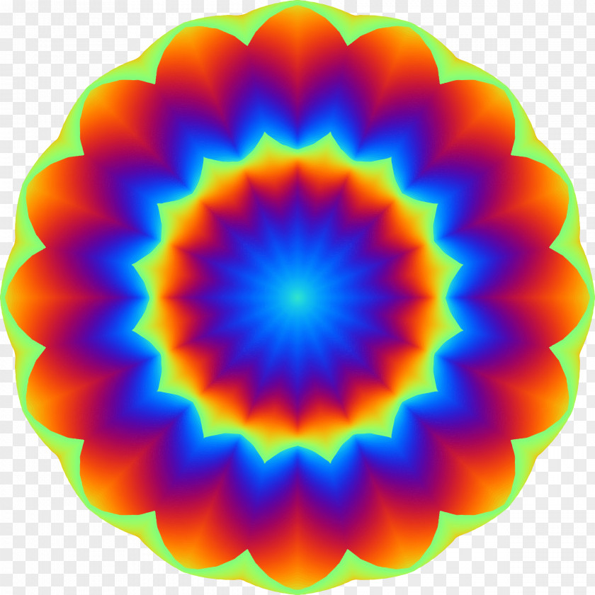 Mandalas System Organization PNG