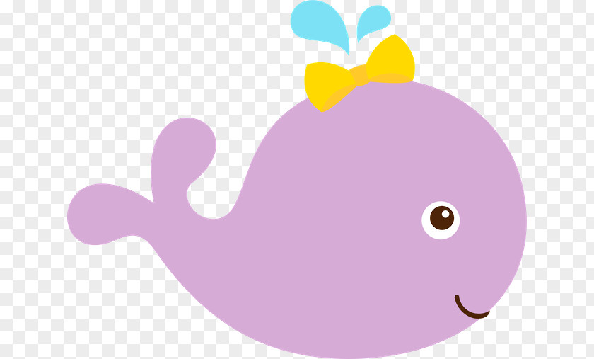 BALEIA Cetacea Infant Clip Art PNG