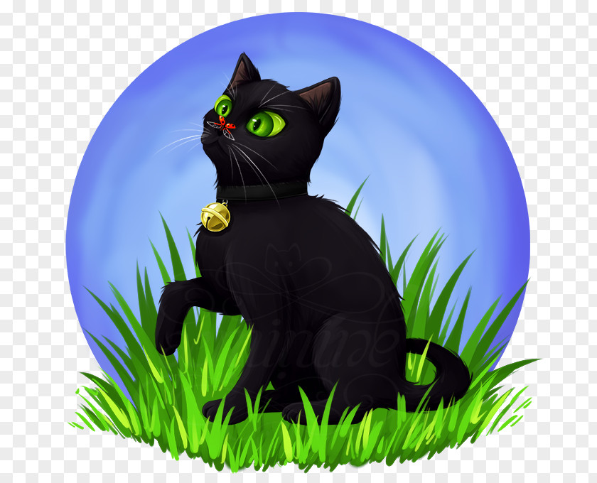 Cat Black Domestic Short-haired Whiskers Adrien Agreste PNG