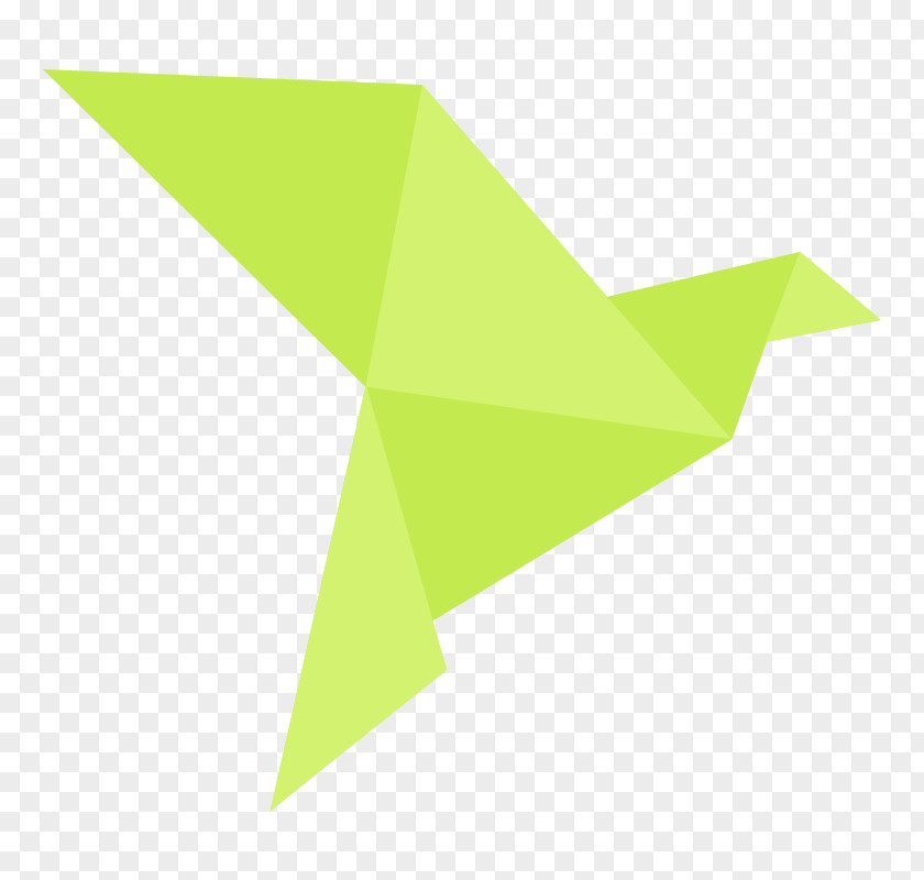 Line Angle Origami PNG