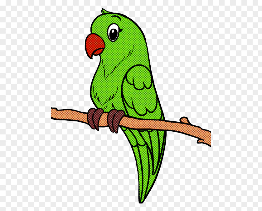 Macaw Lovebird PNG