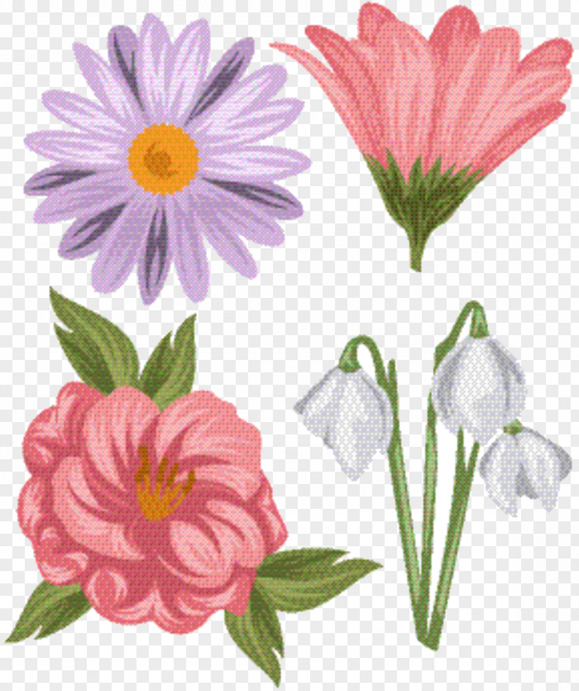 Daisy Pedicel Pink Flower Cartoon PNG