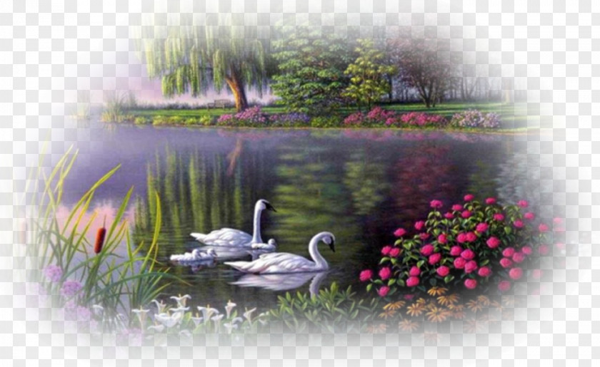 Duck Landscape Painting Romantic Sketches, Book 2: 10 Delightful Intermediate Piano Solos In Style PNG