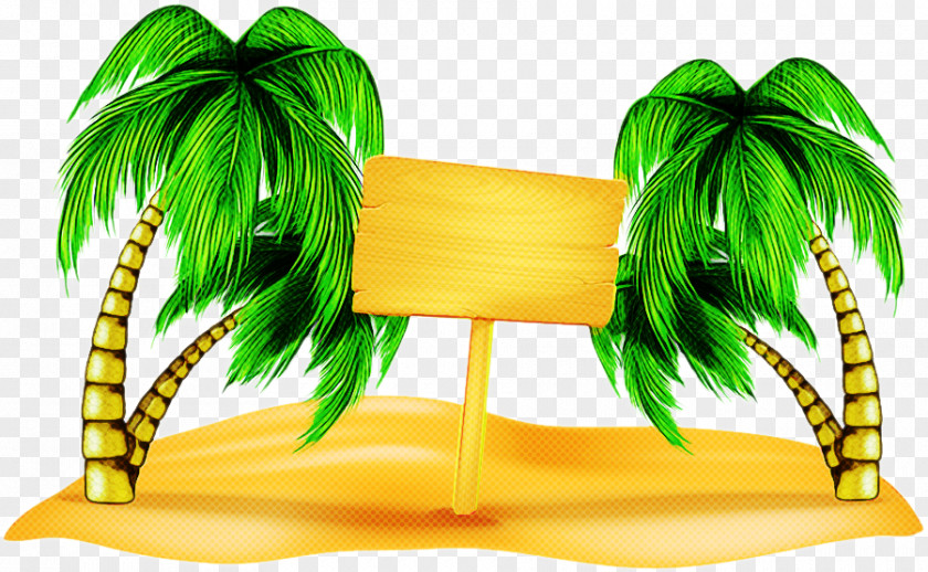 Feather Plant Palm Tree PNG