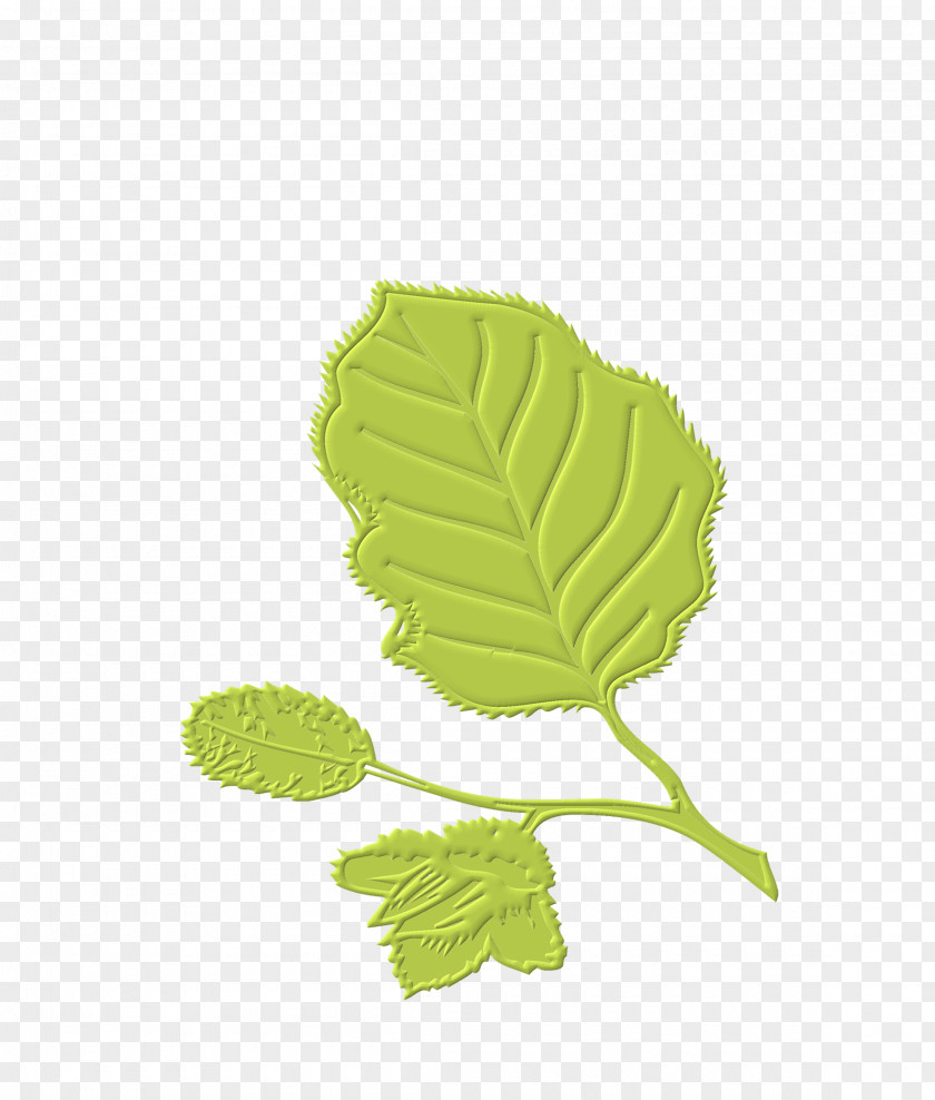 Leaves Free Download Leaf Computer Software PNG