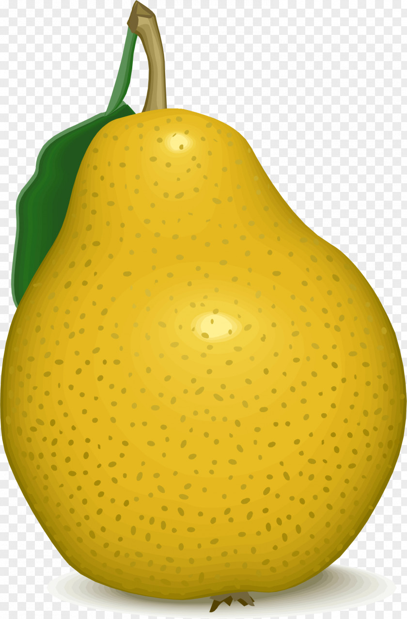Pear Juice Fruit Food Clip Art PNG
