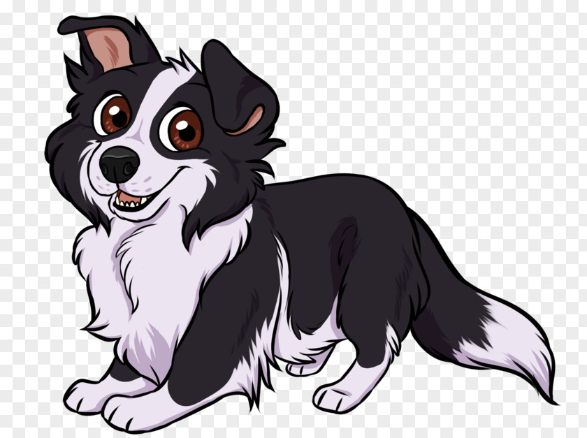 Puppy Dog Breed Border Collie Rough T-shirt PNG