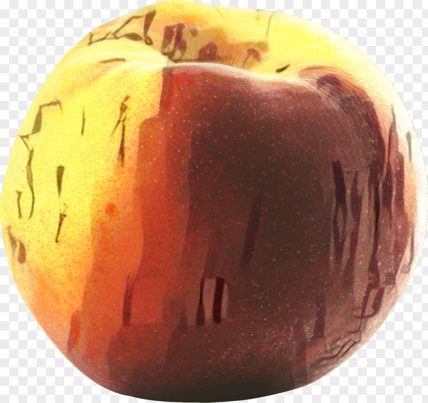 Winter Squash Carving Apple PNG
