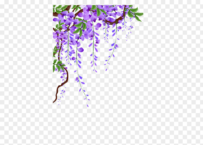 Wisteria Vines Material PNG vines material clipart PNG