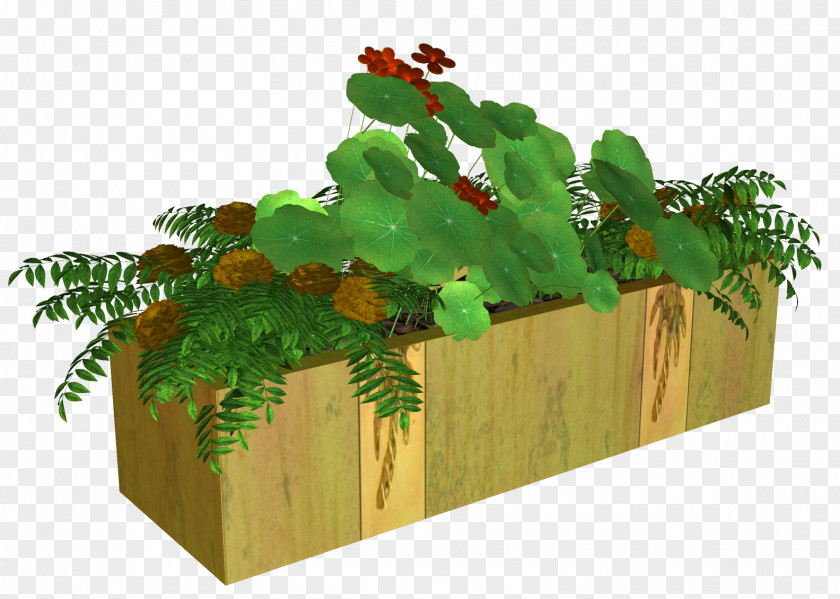 Flower Bed Flowerpot Bonsai PNG