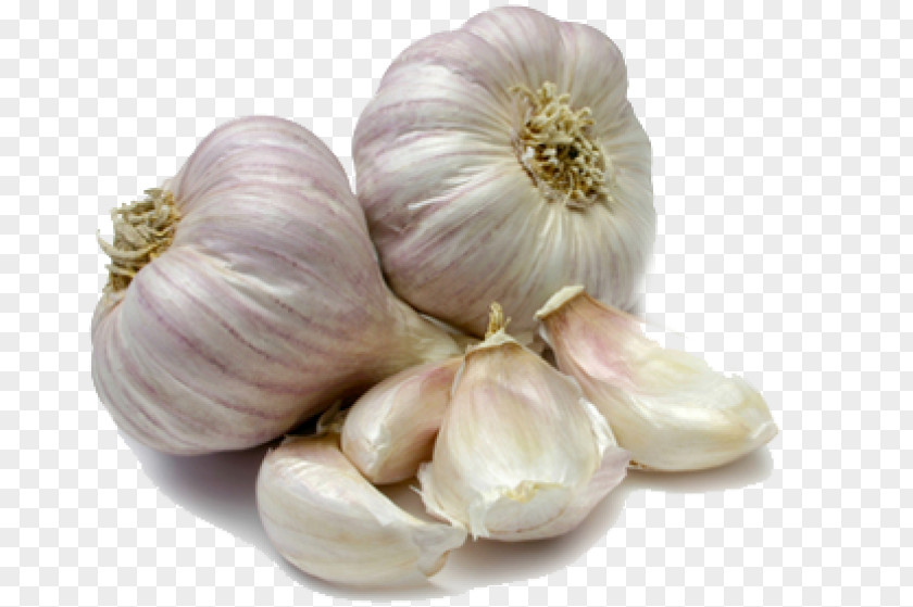 Garlic Scape Bulb Clove Food PNG