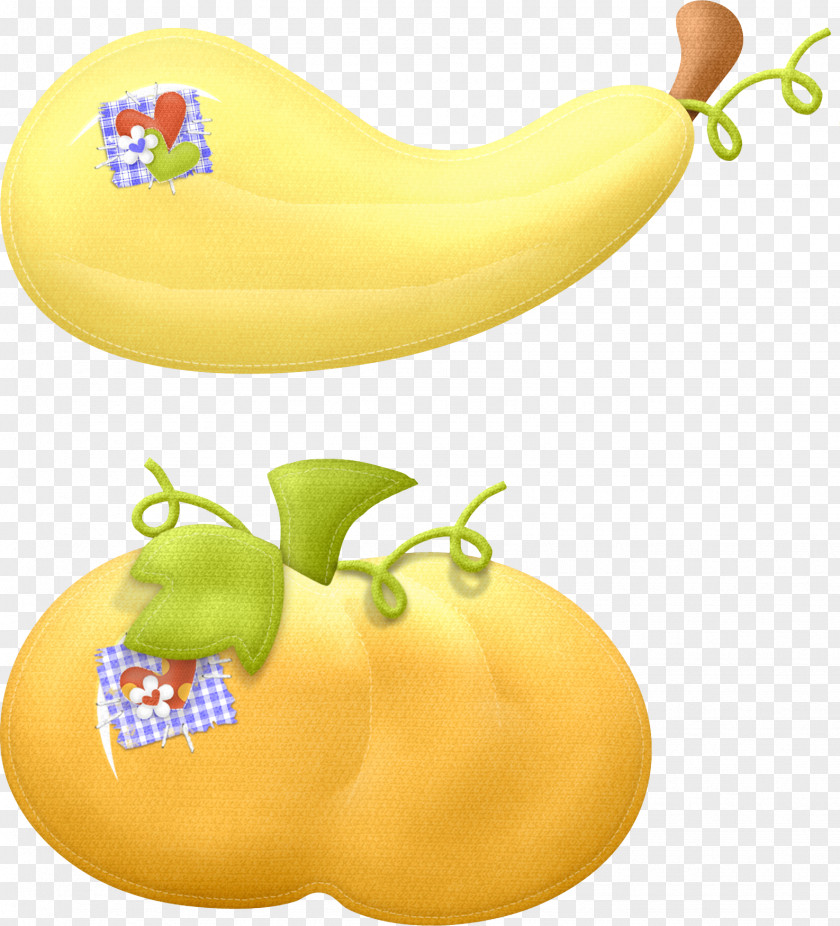 Vegetable Squash Pumpkin Banana Zucchini PNG