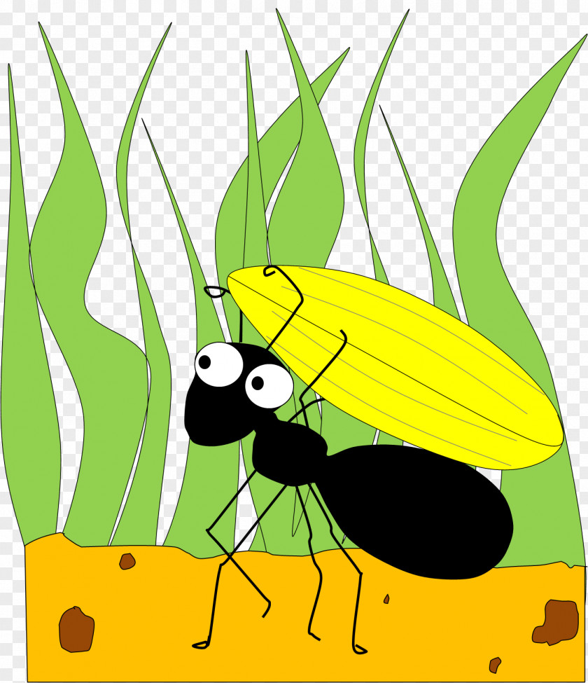 Ant Cliparts The And Grasshopper Clip Art PNG