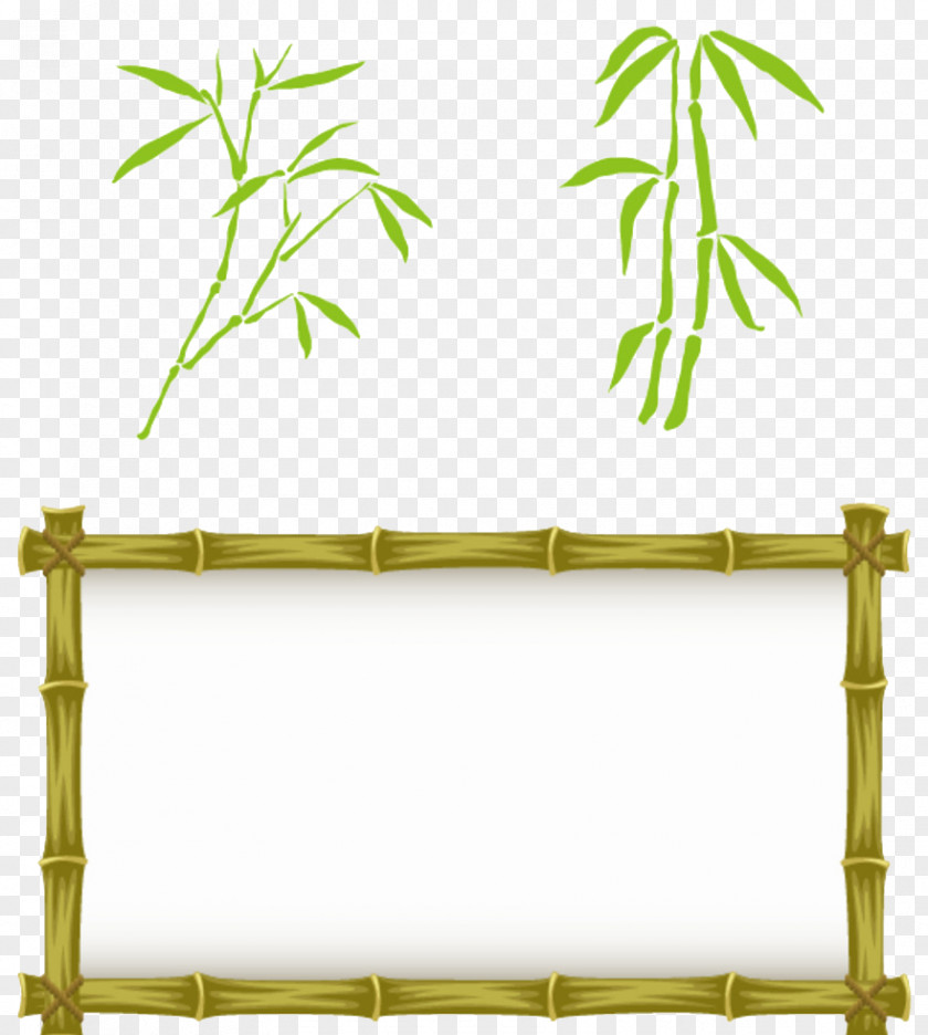 Bamboo Products Design Material Euclidean Vector Bamboe PNG