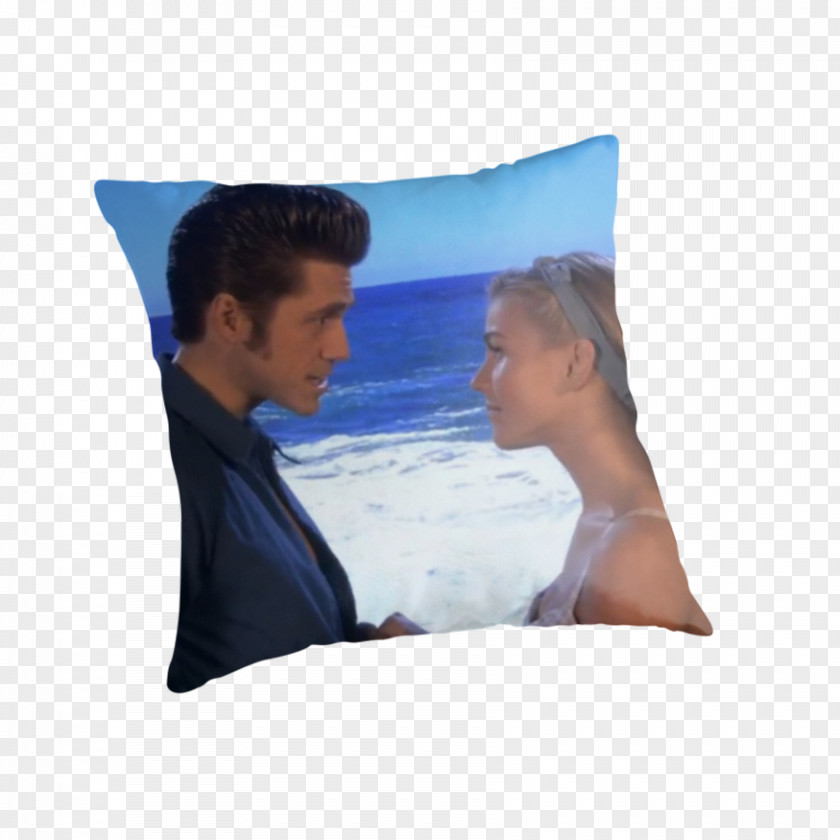 Danny Grease Cushion Throw Pillows Rectangle PNG