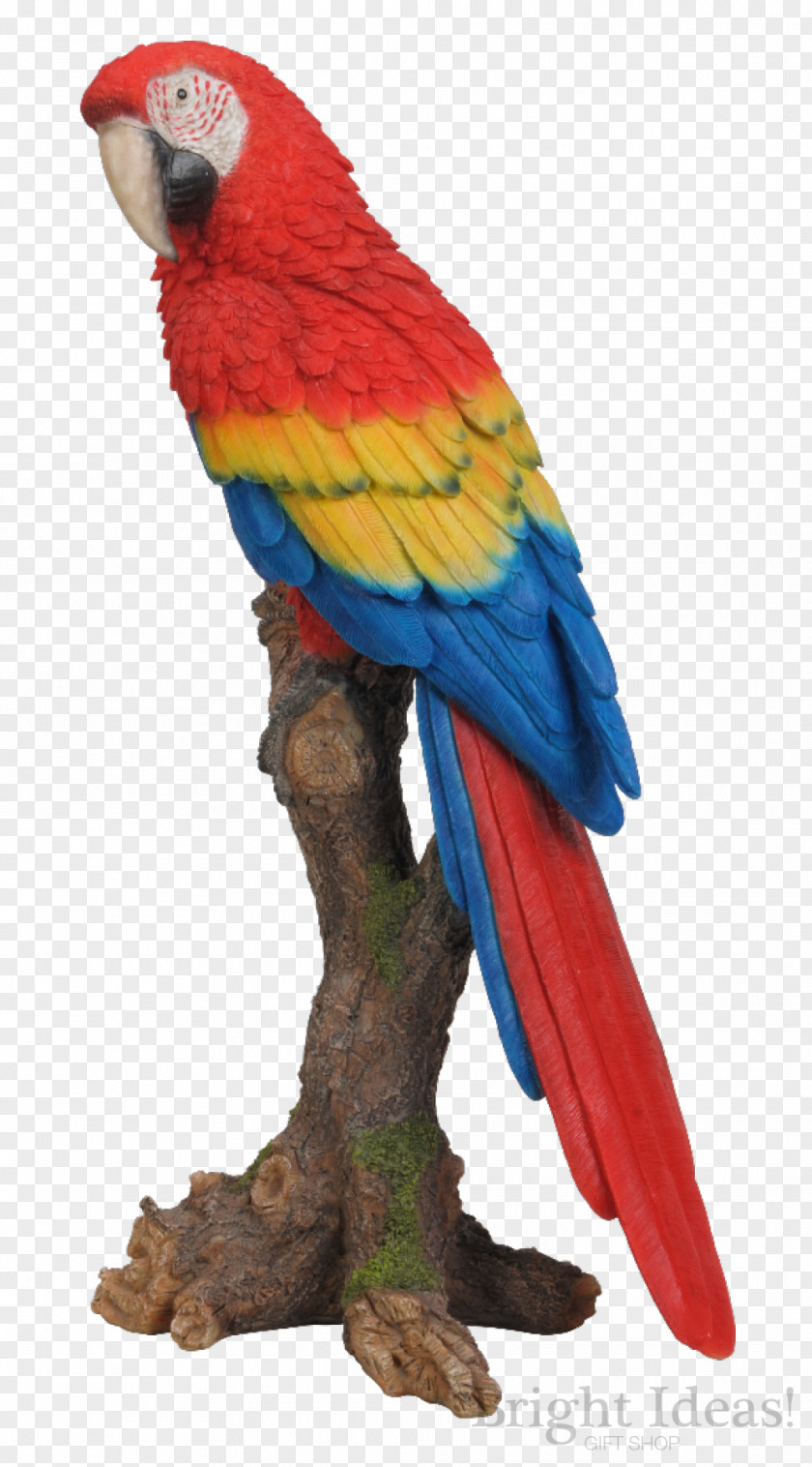 Parrot Bird Garden Ornament PNG