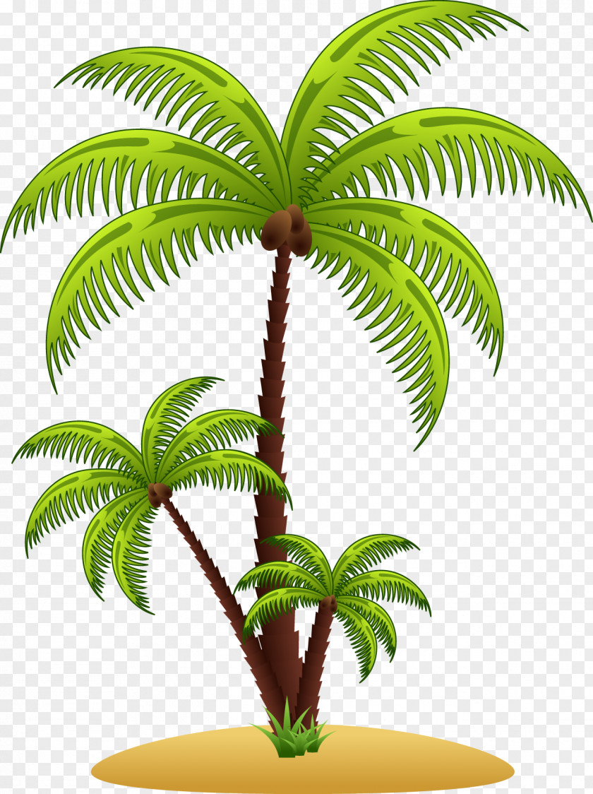 Vector Palm Tree Arecaceae Euclidean Clip Art PNG