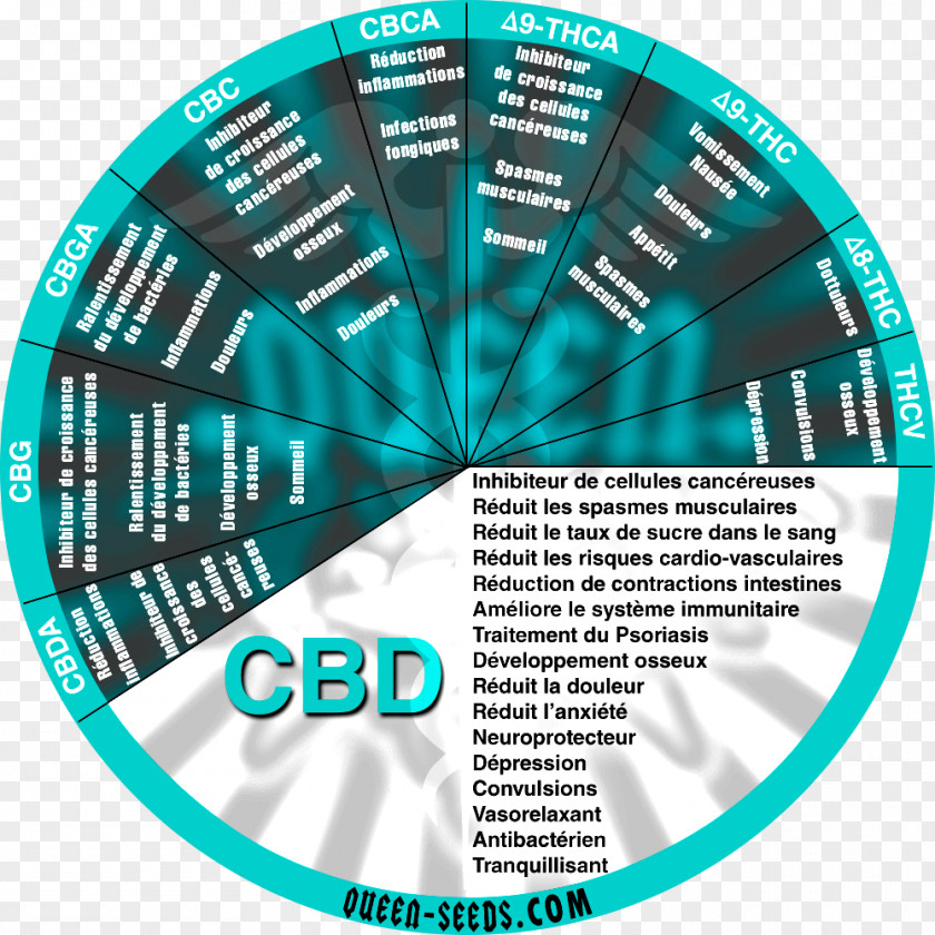 Cannabidiol Psychoactive Drug Tetrahydrocannabinol Therapy Cancer PNG