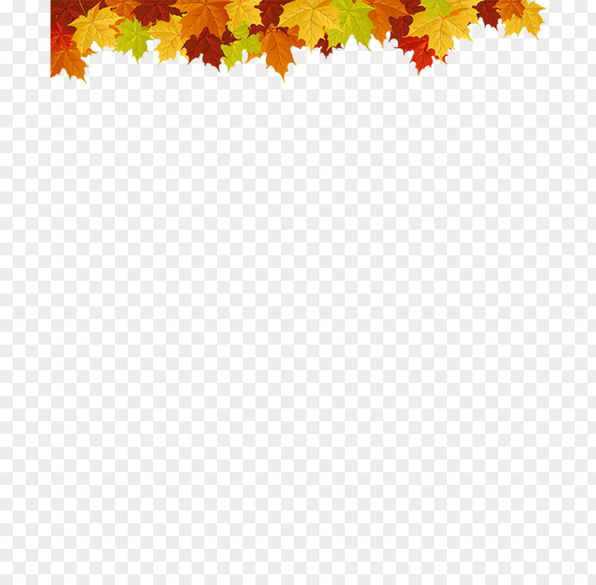 Leaf Picture Frames Decoratie Maple Autumn PNG