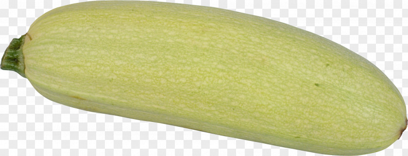 Zucchini Wax Gourd Cucurbita Pepo Var. Giromontiina Marrow Кабак PNG