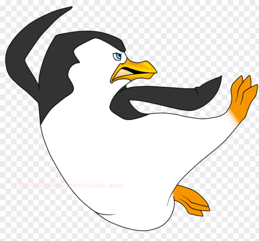 Duck Comics Drawing Cartoon Bird PNG