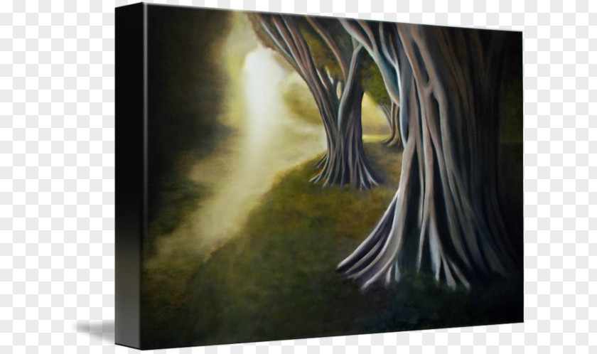 Deep Forest Painting Modern Art Picture Frames Architecture PNG