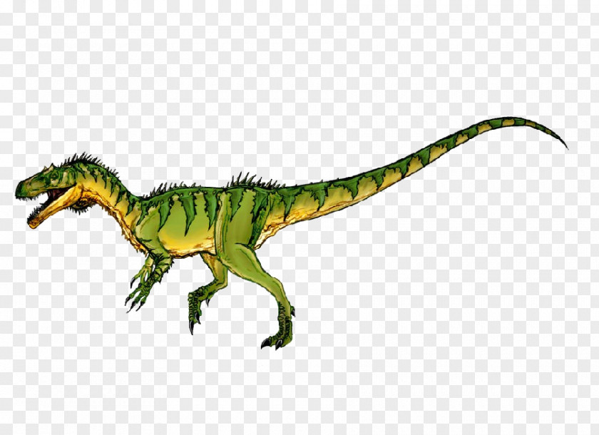 Dinosaur Velociraptor Bahariasaurus Tyrannosaurus Bahariya Formation Afrovenator PNG