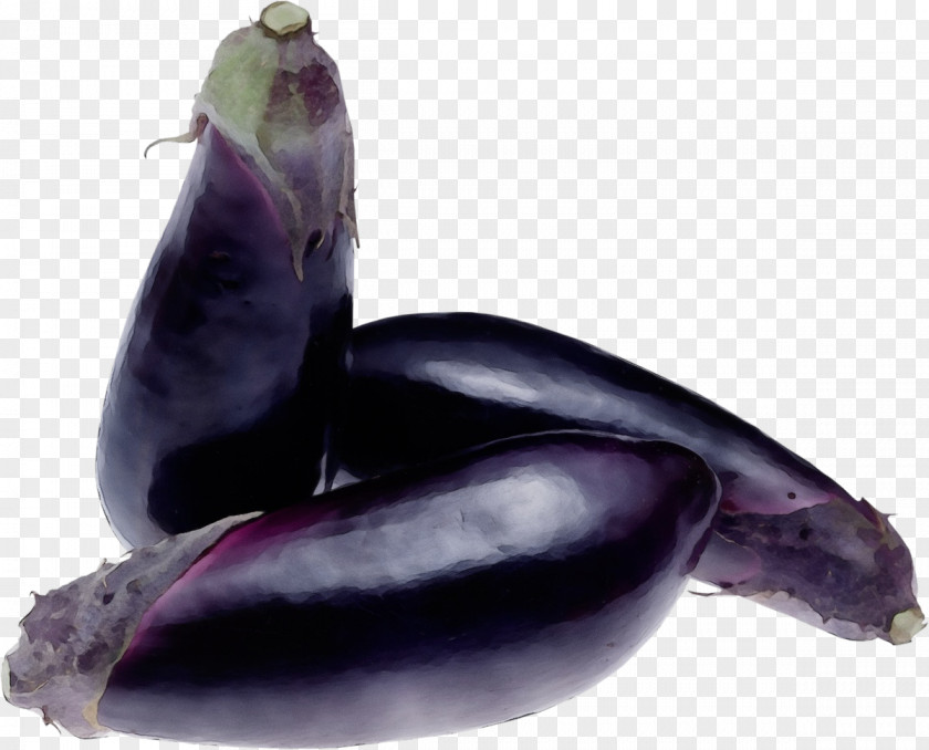 Dolphin Cetacea Eggplant Vegetable Purple Plant Marine Mammal PNG