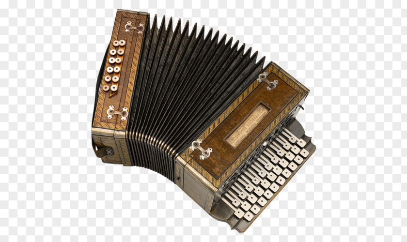 France French Vocabulary Course Accordion Musical Instruments PNG