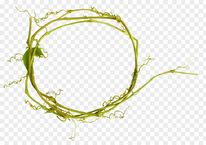 Holi Flower Twig Branch Floral Design PNG