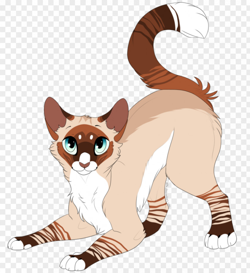 Lynx Whiskers Siamese Cat Point Coloration Havana Brown PNG