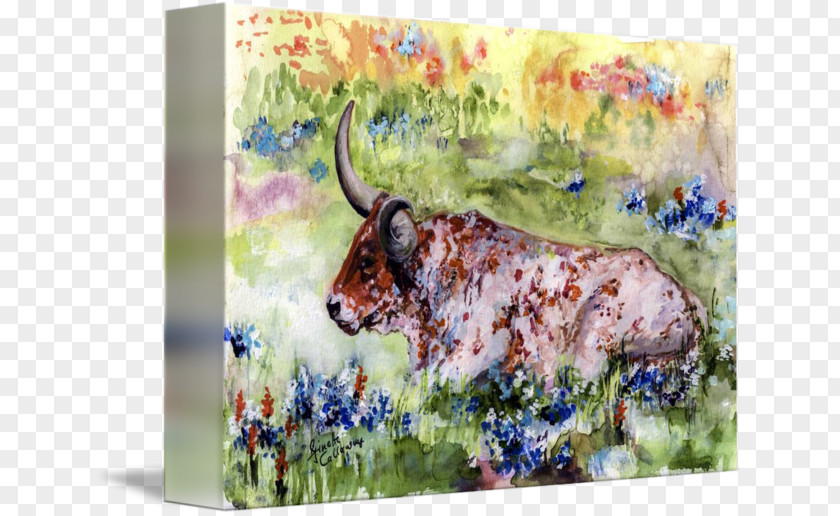 Painting Texas Longhorn Watercolor Gallery Wrap English PNG