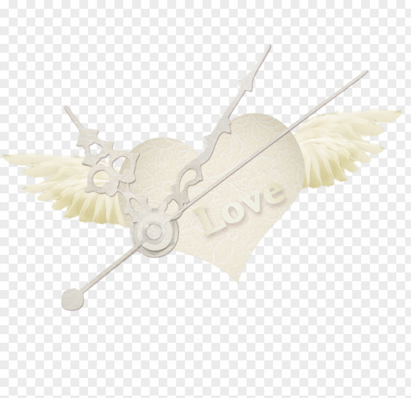 Wedding Photography Love Clip Art PNG