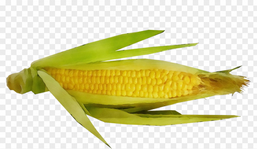 Cuisine Vegetable Corn On The Cob Sweet Yellow Fish PNG