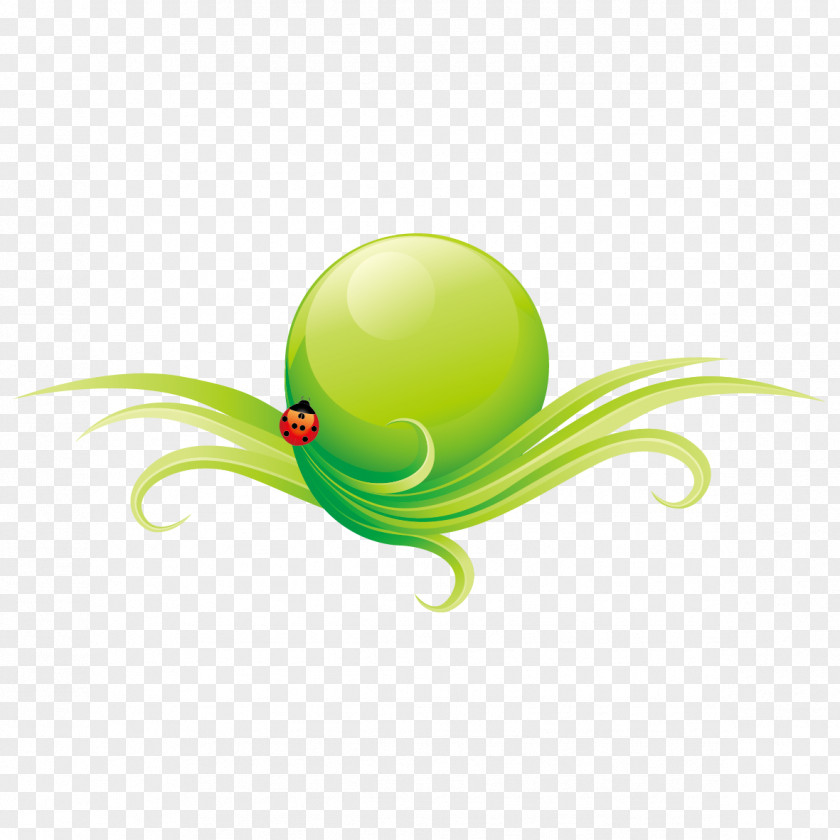 Insect And Green Leaf PNG