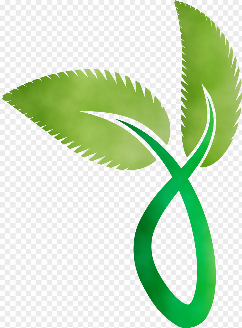 Leaf Plant Stem Green Meter Plants PNG