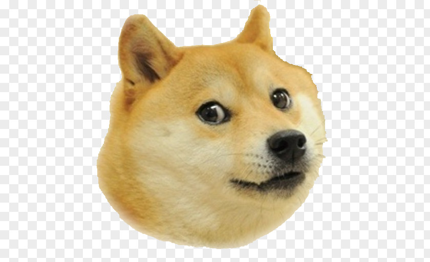 Shiba Inu Save The Doge Star Doge: Weird Game PNG