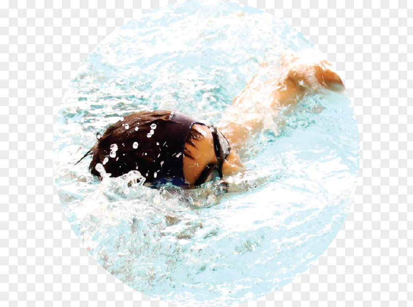 Swimming Lessons Water Organism PNG