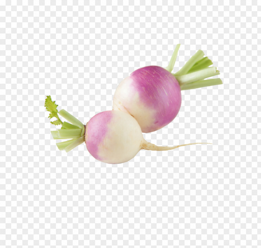 Vegetable Turnip Radish Collard Greens Eating PNG