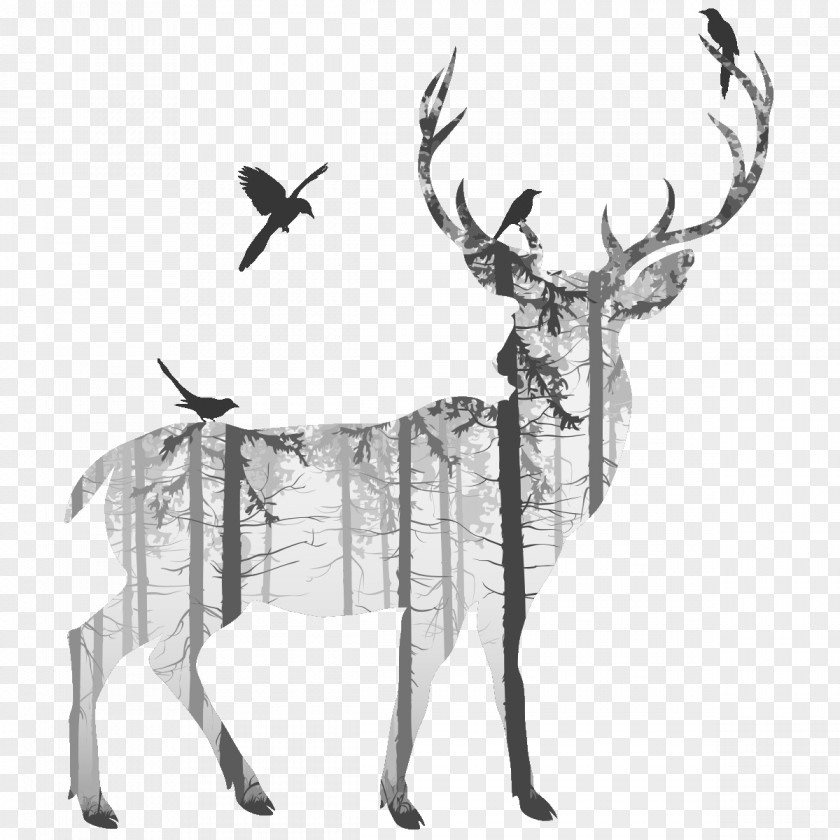 Deer Silhouette Drawing Photography PNG