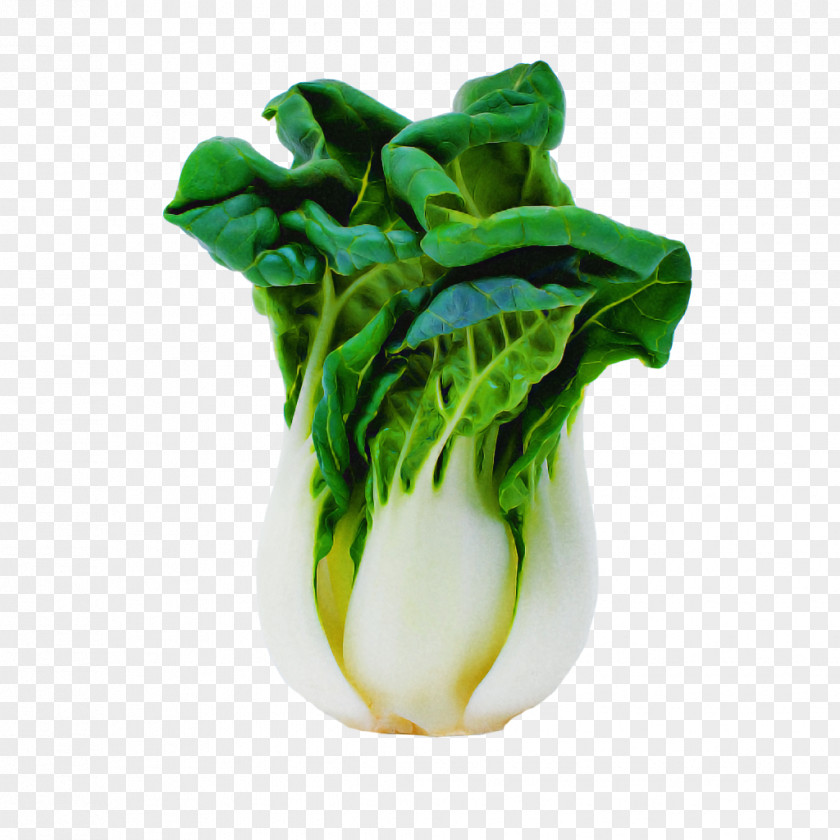 Flower Lettuce Vegetable Leaf Green Food PNG
