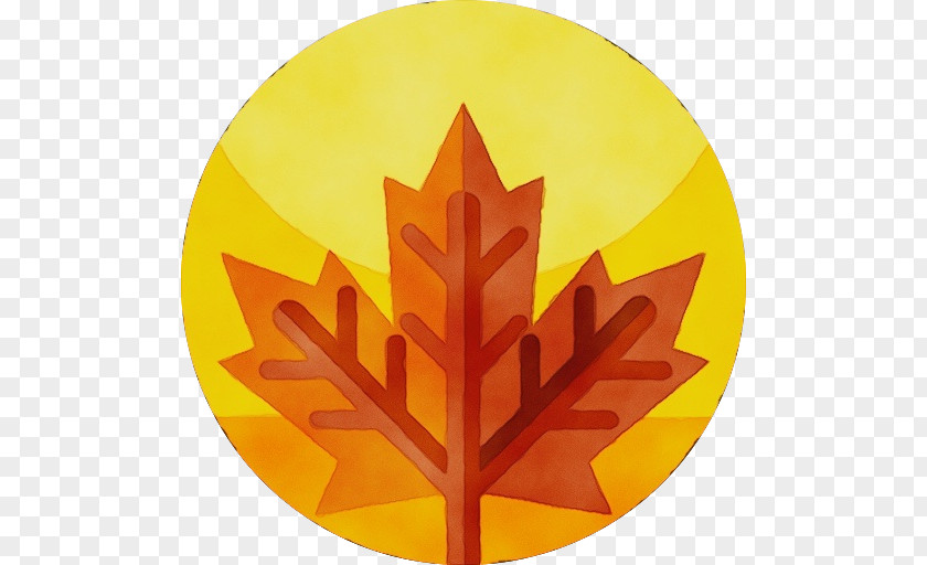 Maple Leaf Symbol Canada PNG