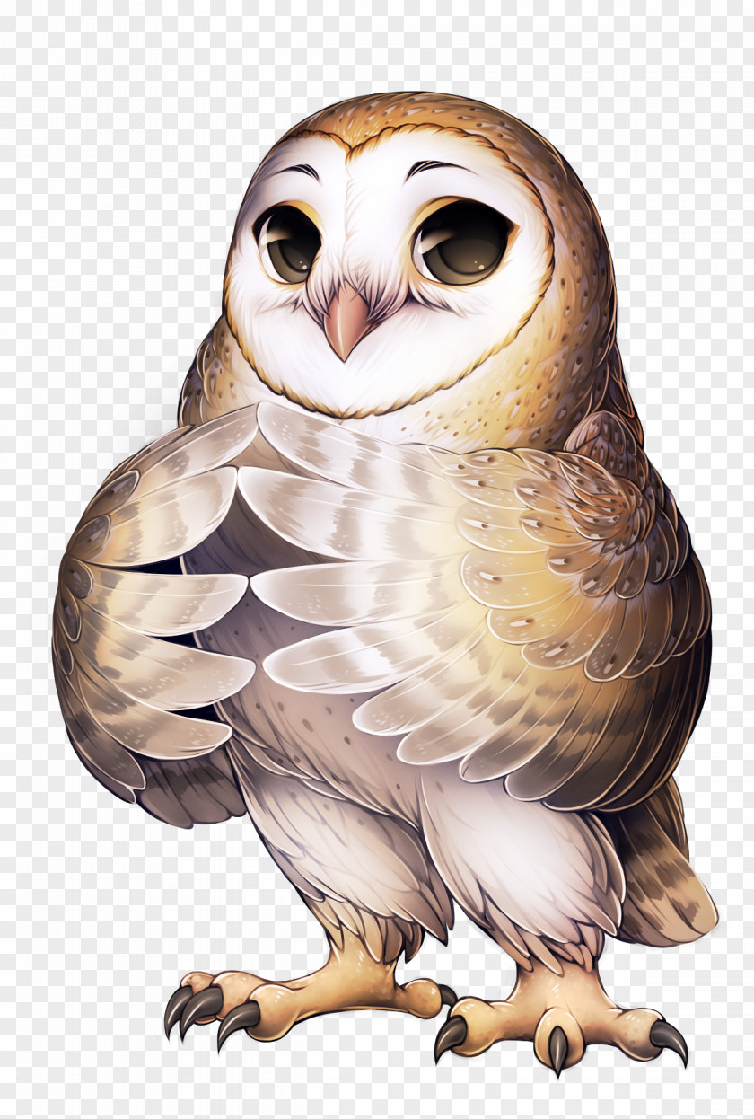 Owl Barn Bird Furry Fandom Long-eared PNG